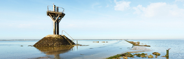 la peche a pied sur l ile de noirmoutier